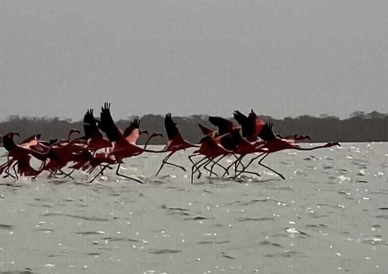 Rch Luxury Hotel & Pool