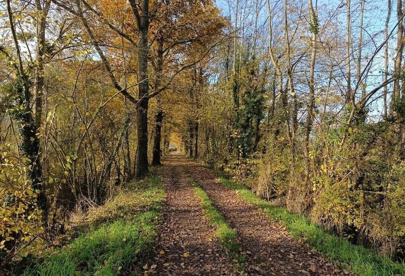 Bed and Breakfast Christine Scuflaire