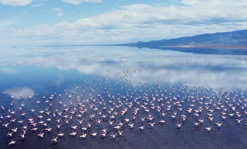 هتل Africa Safari Lake Natron Camping