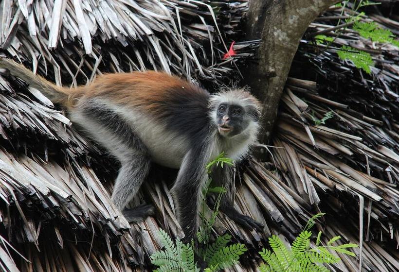 בית מלון כפרי Amani Villas Nature Retreat