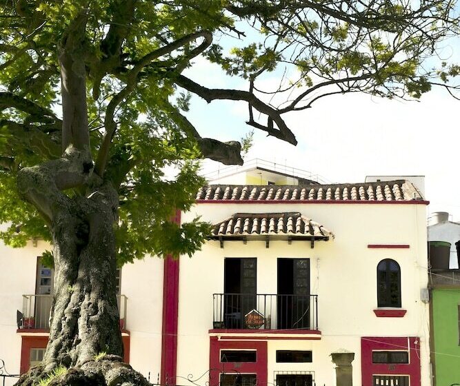 هتل Aroma Del Bosque Posada Cafe