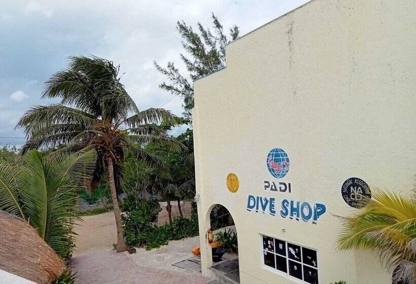فندق Casa Cenote