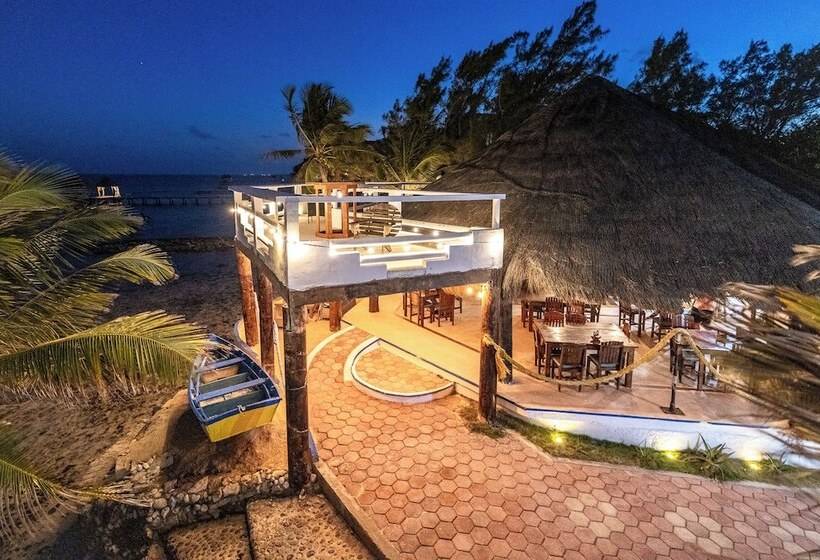 فندق Casa Cenote