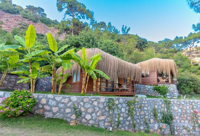 酒店 La Boheme Kabak
