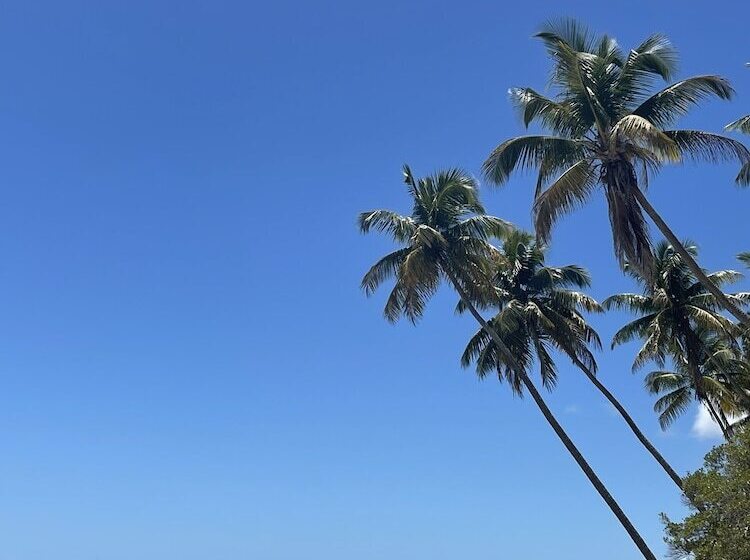 בית מלון כפרי Pousada Horizonte Azul