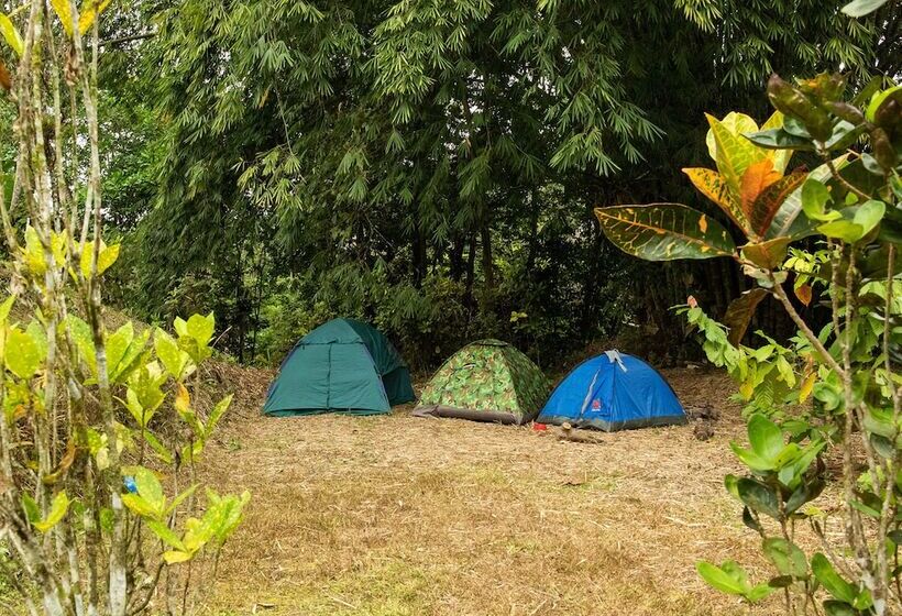 فندق Puerto Quito Lodge
