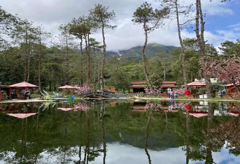 ホテル Supercamp Sakura Hills