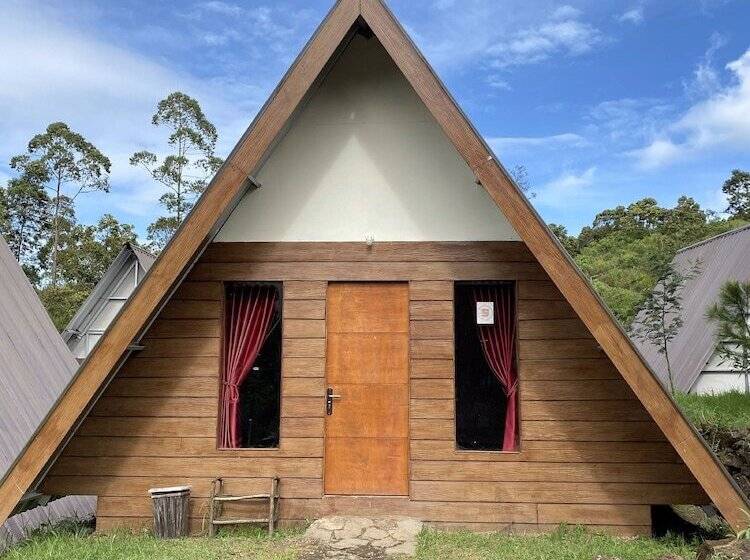 ホテル Supercamp Sakura Hills
