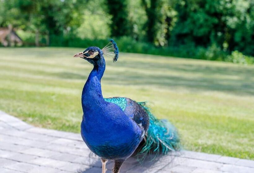 Chapel Cottage, Pond Hall Farm, Hadleigh
