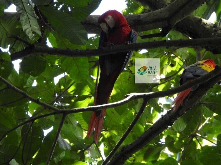 فندق Villas Azul