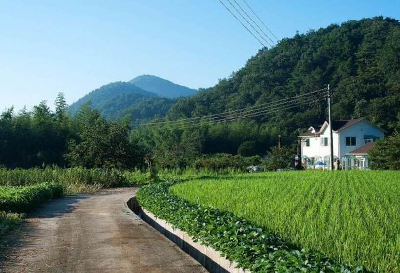 Damyang Clover Pension