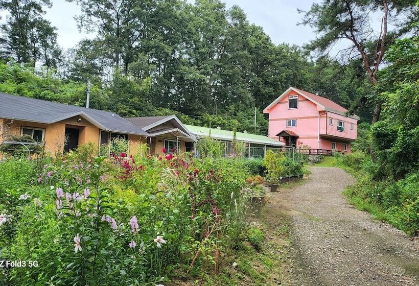 פנסיון Andong Bohwadawon