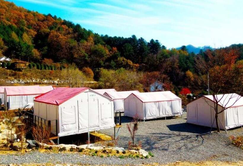פנסיון Hongcheon Hwani Glamping