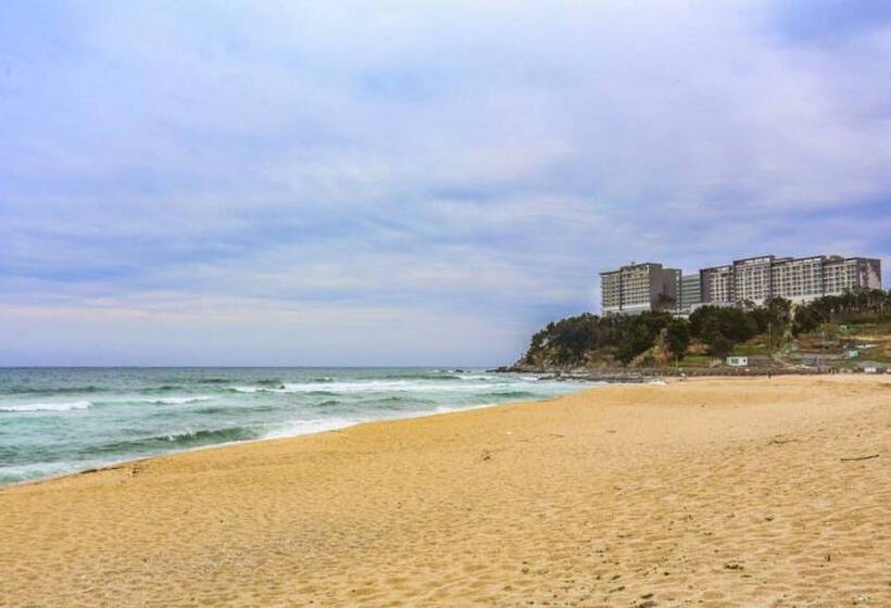 Sokcho White Light House Pension