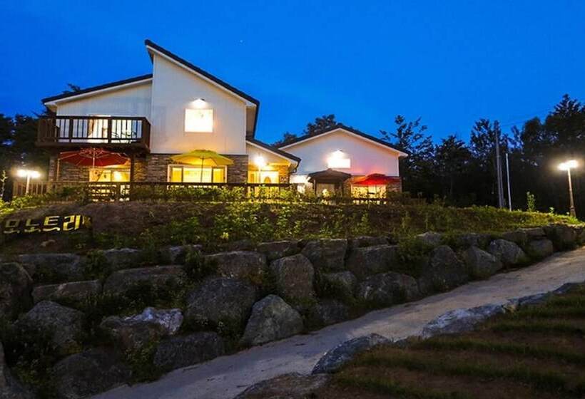 Yangyang Mono Tree Pension