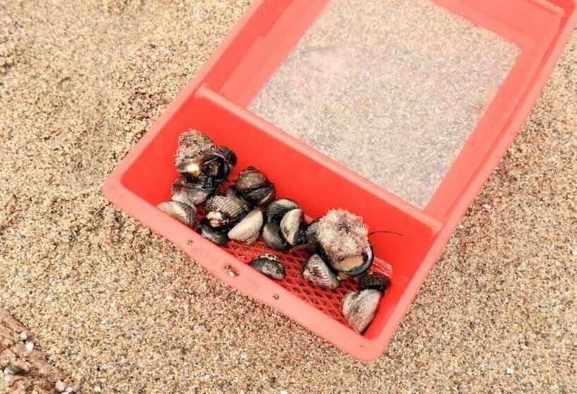 Yeongdeok Nowbada Pension