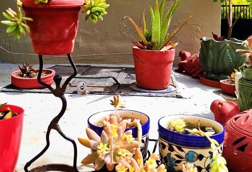 Bed and Breakfast Ubex Home Dehradun