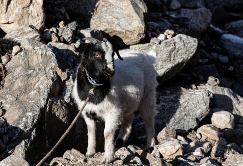 Gapyeong White House Valley Pension