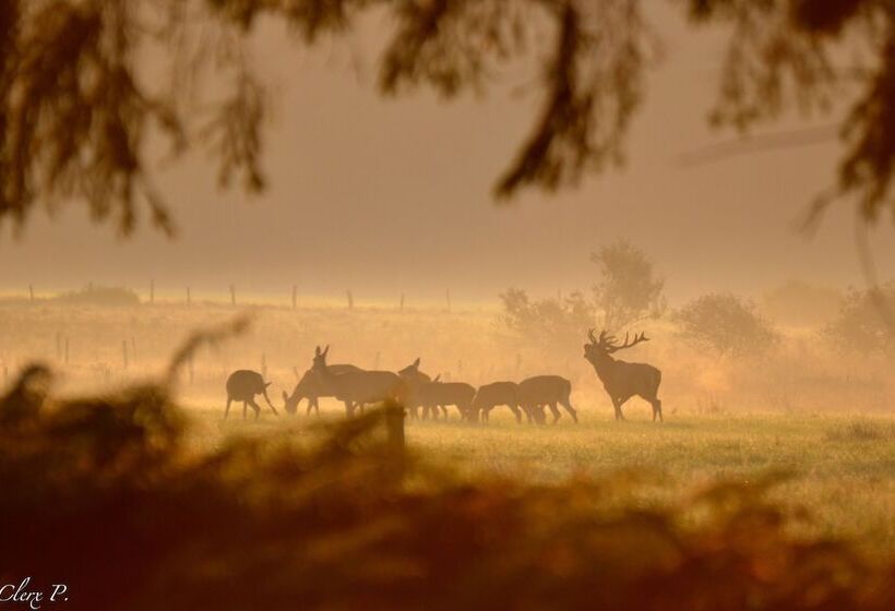פנסיון Les 12 Bois Du Cerf