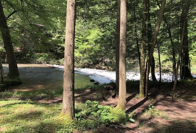 Elk Springs Resort