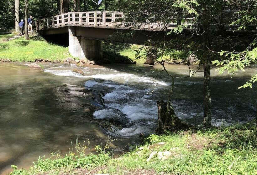 Elk Springs Resort