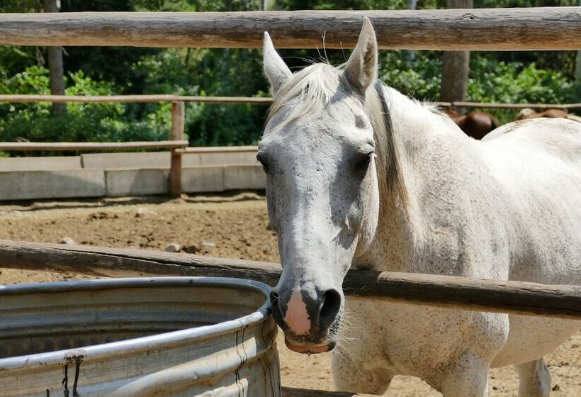 酒店 Bill Cody Ranch