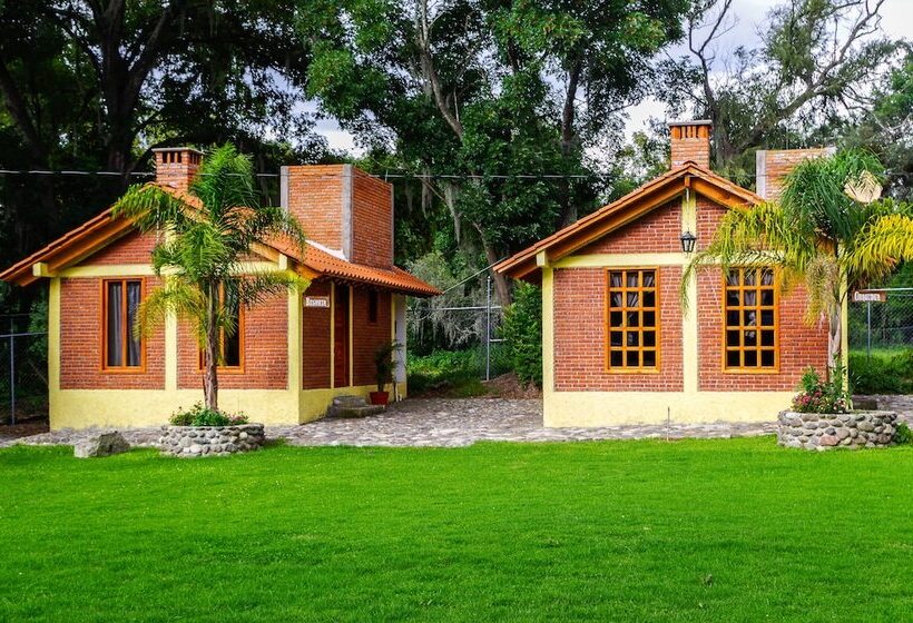 فندق Cabañas Del Bosque By Rotamundos