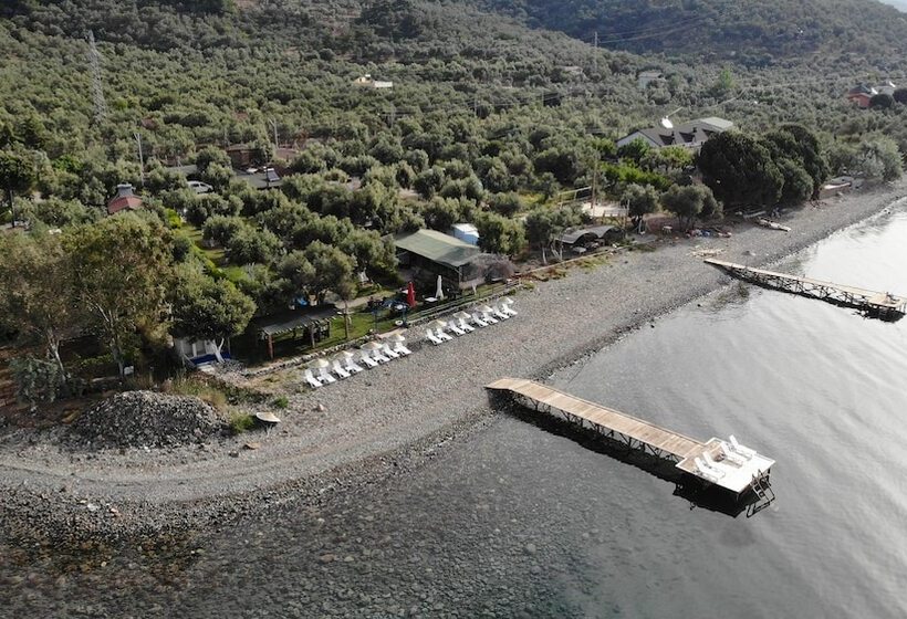 ホテル Concept Bungalow