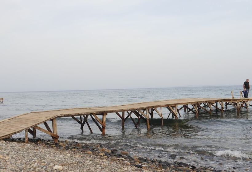 ホテル Concept Bungalow