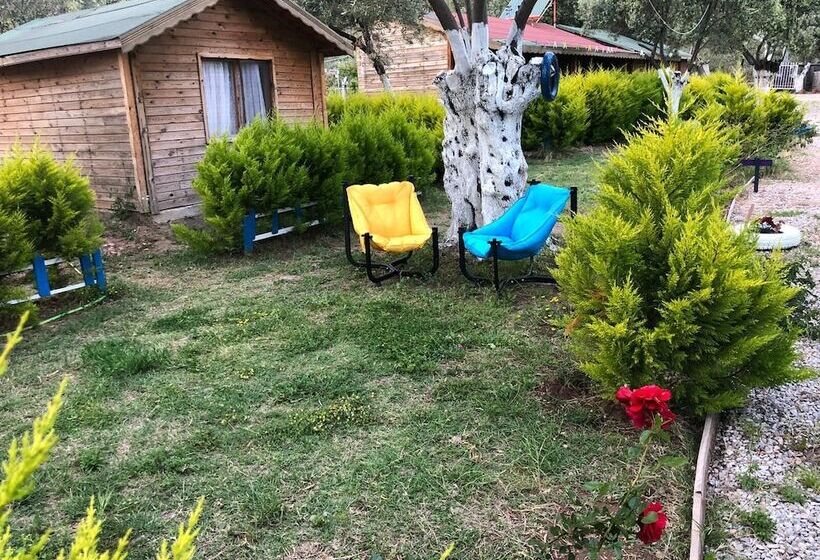 ホテル Concept Bungalow