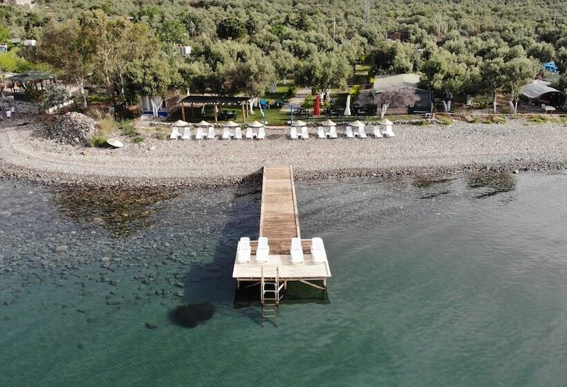 ホテル Concept Bungalow