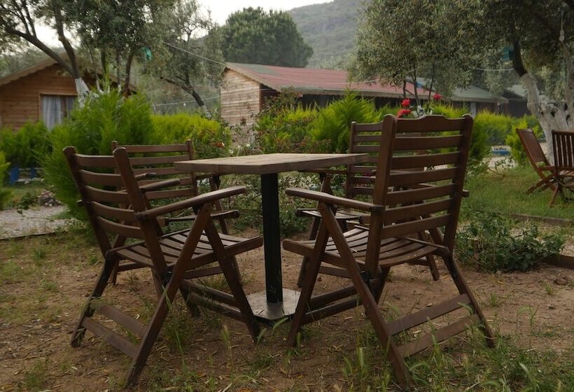 ホテル Concept Bungalow