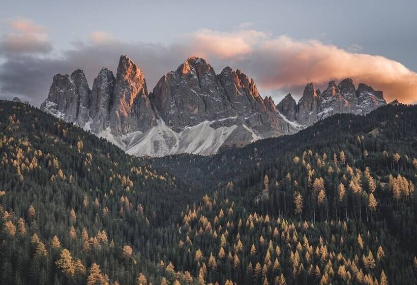 Отель Forestis