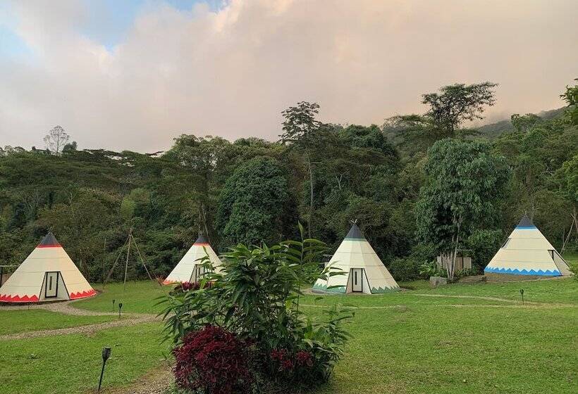 هتل Glamping Refugio Del Bosque