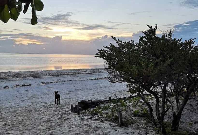 فندق Kilimani Kwetu Beach