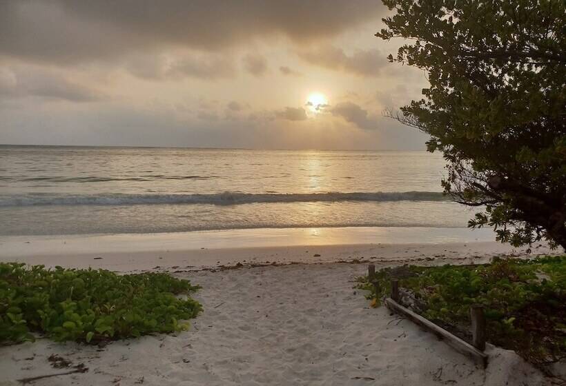 فندق Kilimani Kwetu Beach