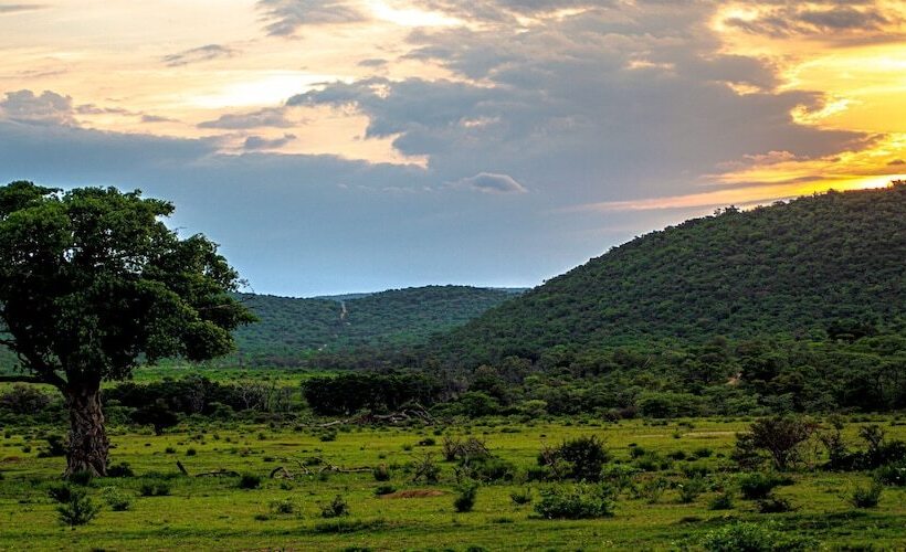 호텔 Laluka Safari Lodge