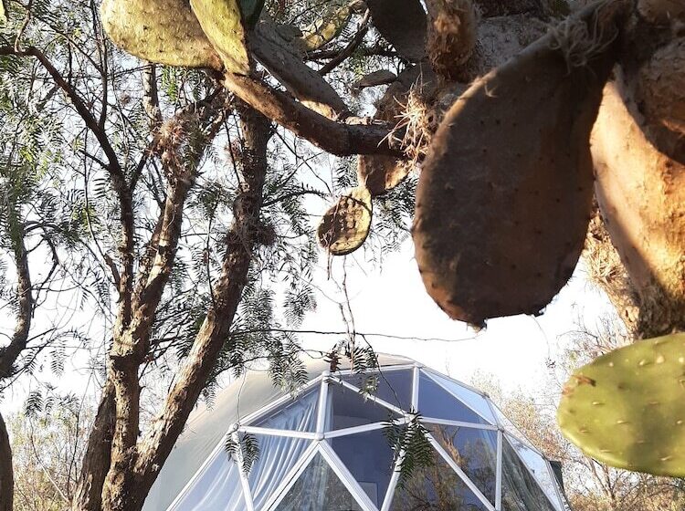 فندق Raices Glamping