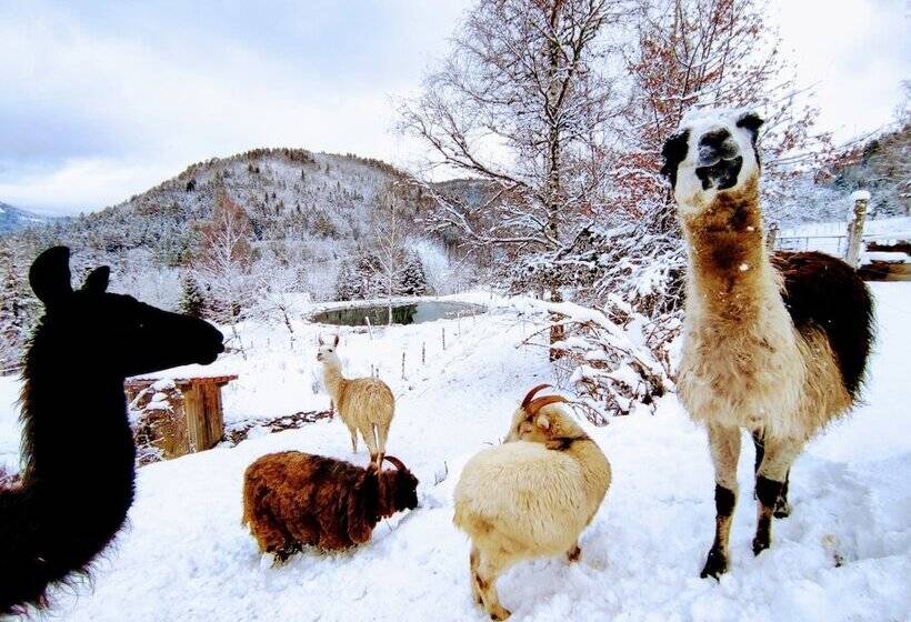 פנסיון A L Orée Du Bois