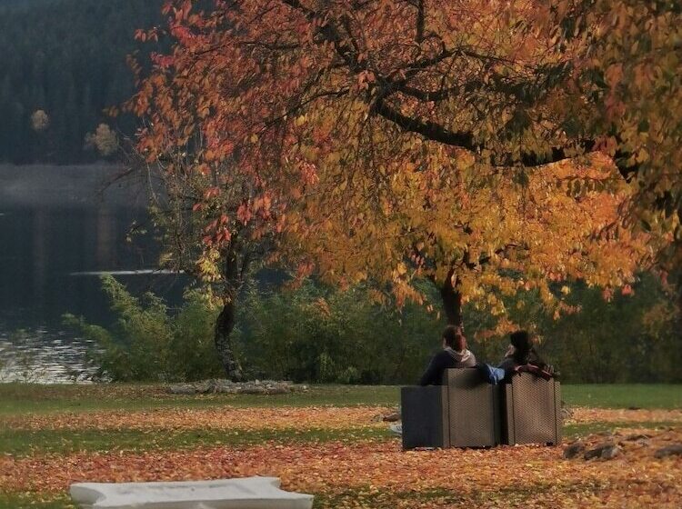 펜션 Gradinile Romane