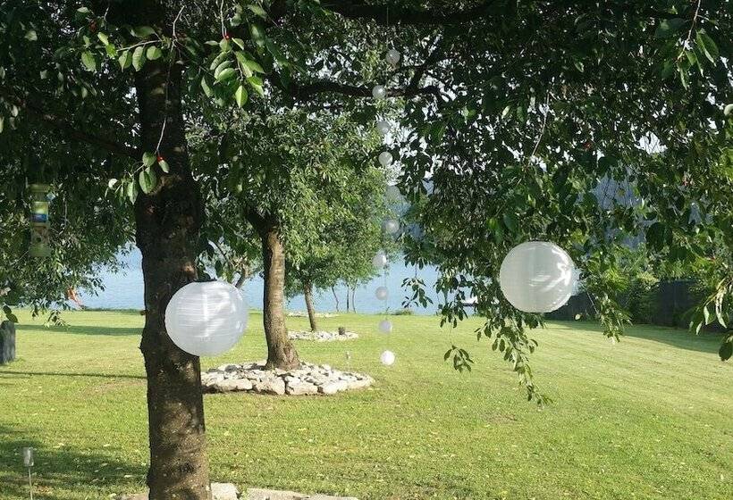 펜션 Gradinile Romane