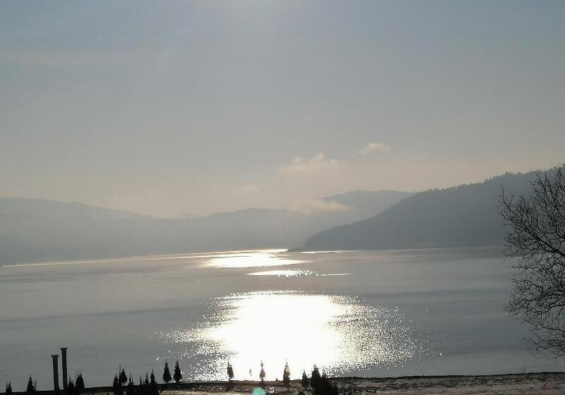 펜션 Gradinile Romane