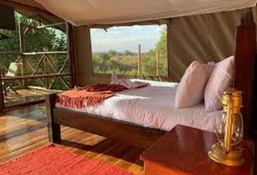 پانسیون Havila Resort