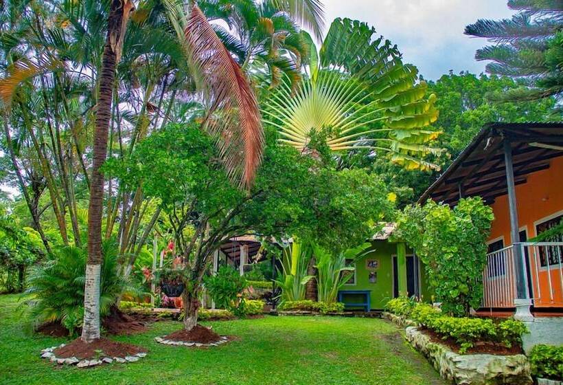 پانسیون Los Palmares Hostel