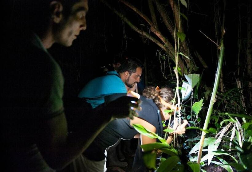 פנסיון Tortuguero Adventures Guesthouse