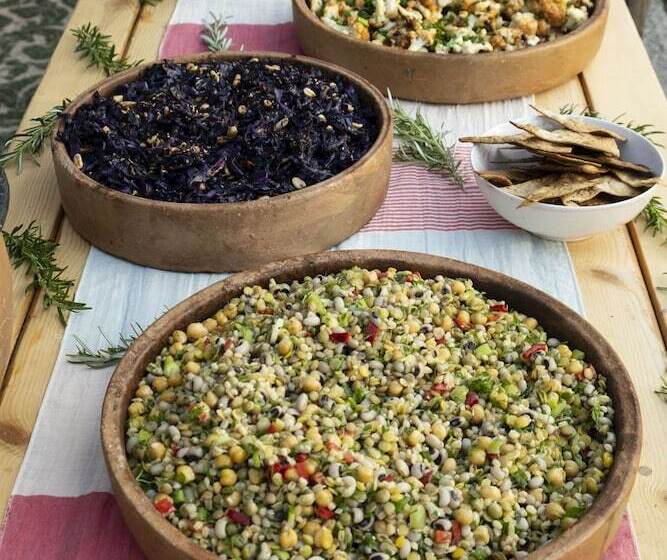 بنسيون Bhavana Gokova