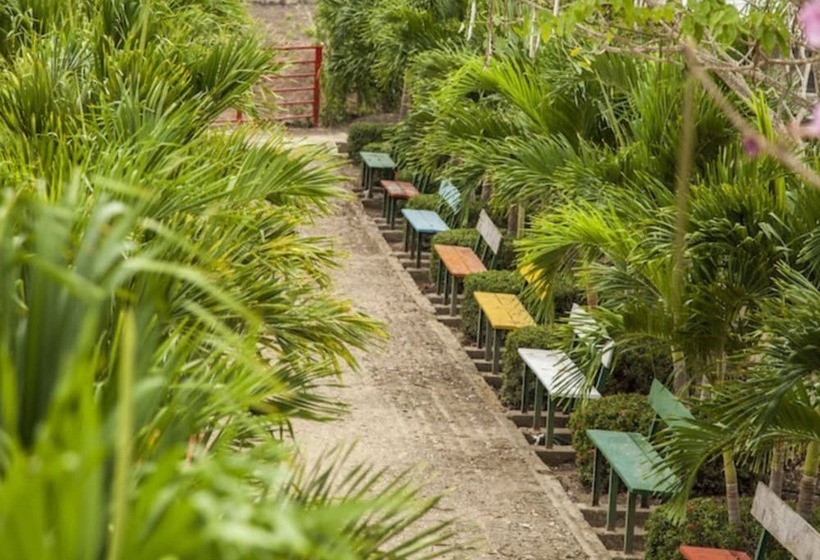 Shalom   Hostel