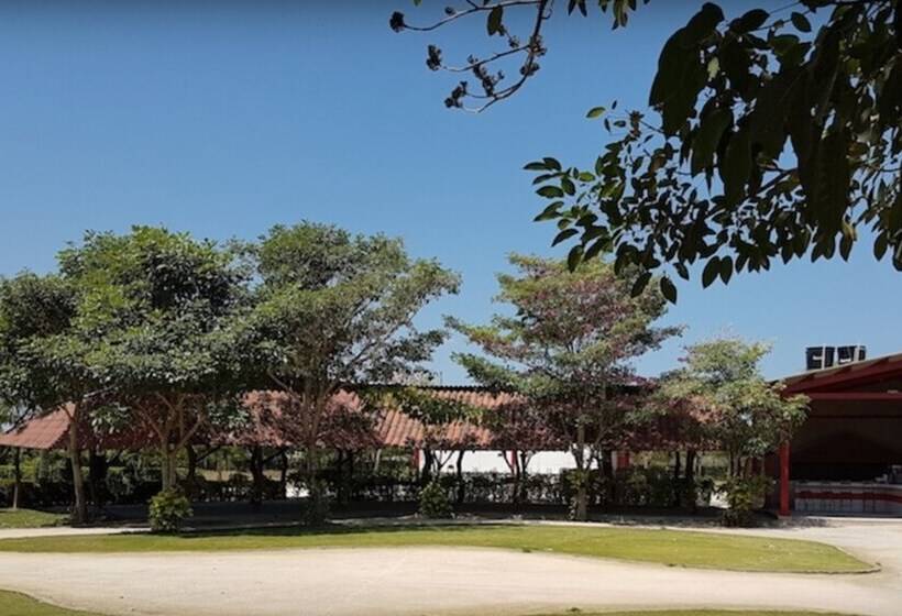 Shalom   Hostel