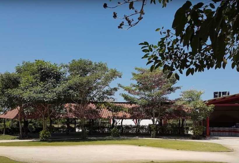 Shalom   Hostel