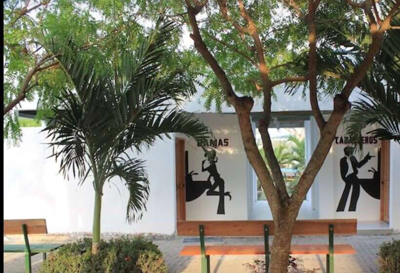Shalom   Hostel